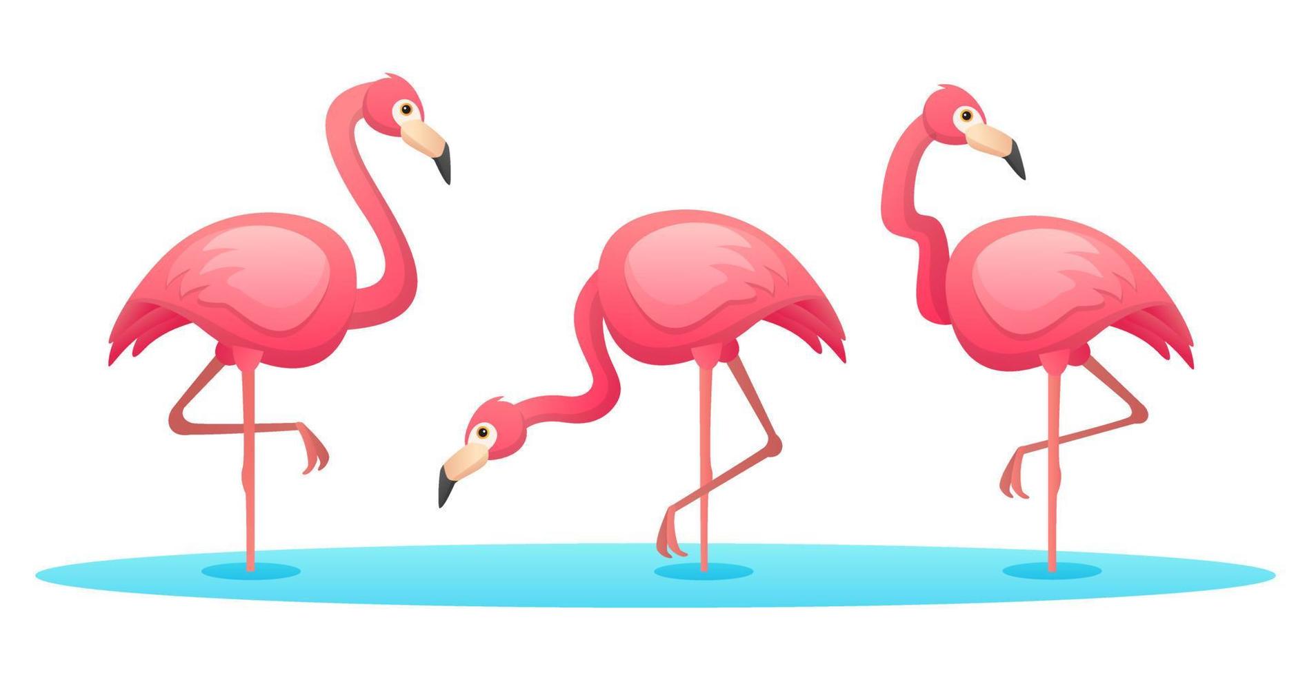 Set of flamingo in various poses cartoon illustration vector