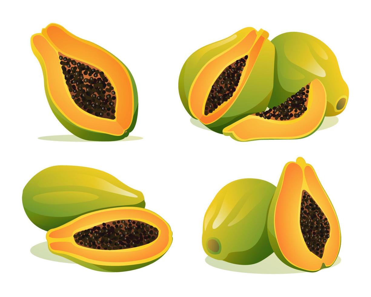 Set of fresh whole and half cut papaya illustration isolated on white
