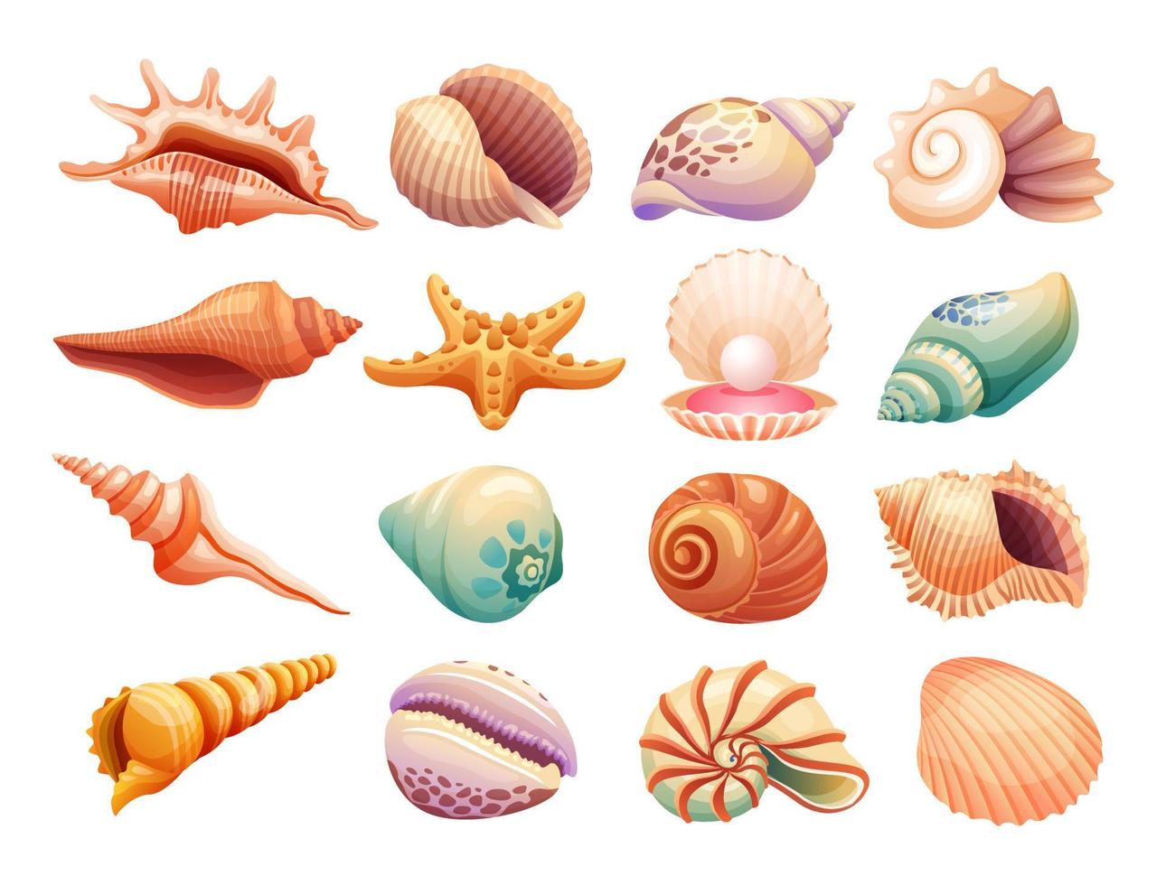 Various seashells illustration isolated on white background vector