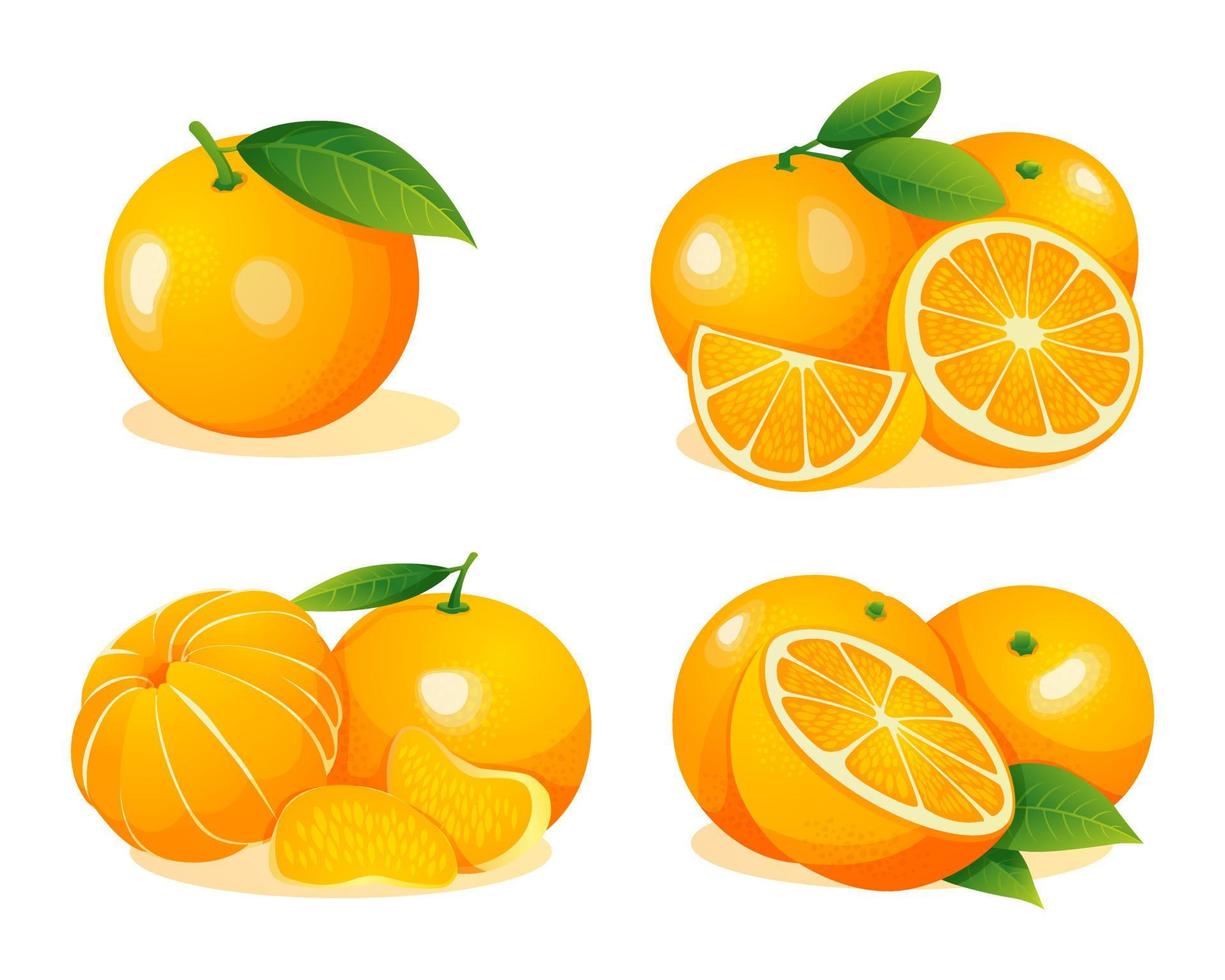 conjunto de frutas naranjas frescas enteras, medias y rebanadas cortadas ilustración aislada sobre fondo blanco vector