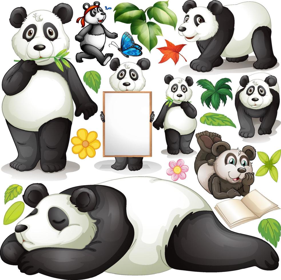 Panda in different actions vector