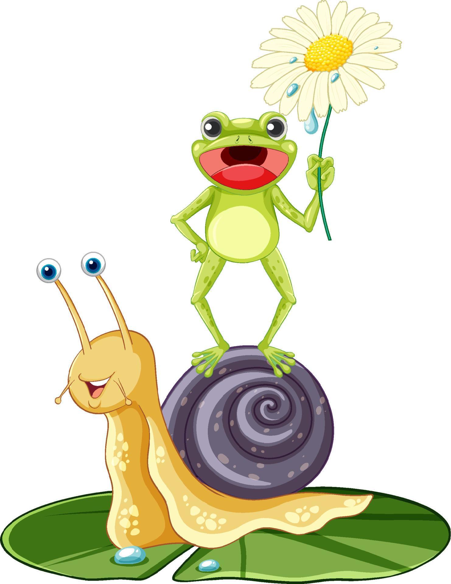 Isolated snail and frog cartoon character 6611068 Vector Art at Vecteezy