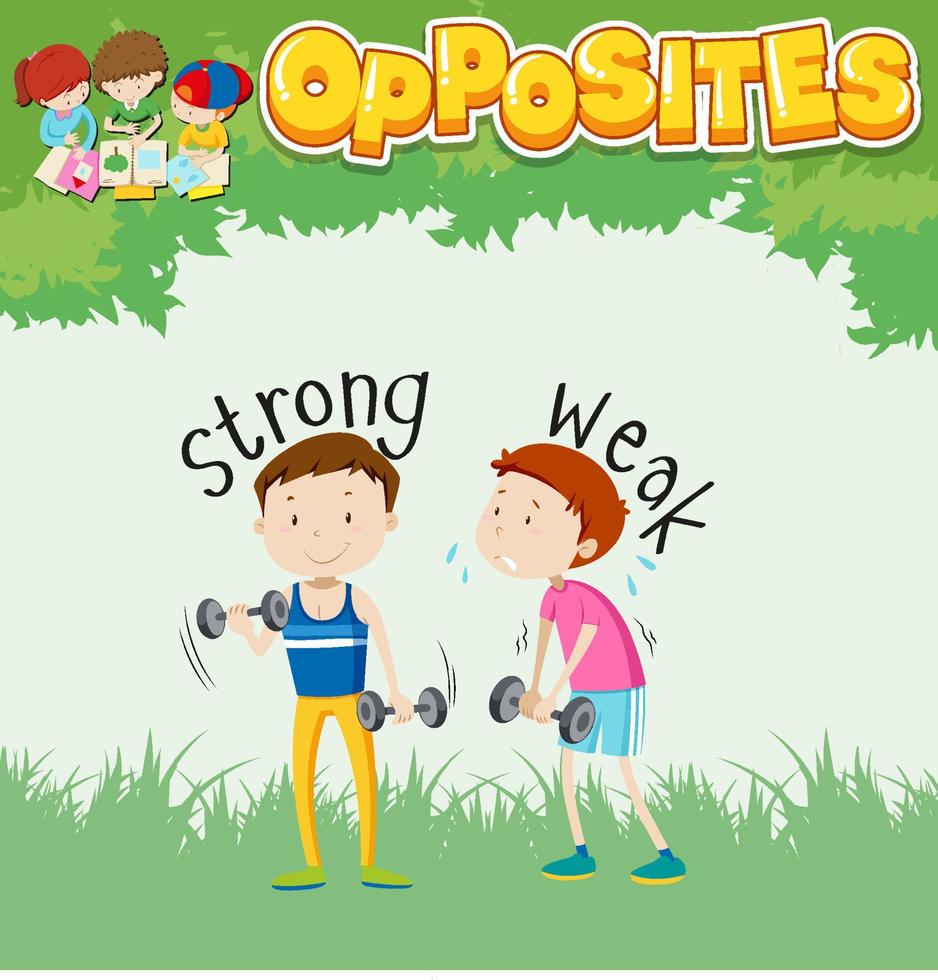 Opposite words for strong and weak vector