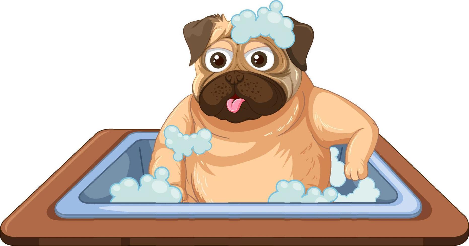 un personaje de dibujos animados de baño de perro pug vector