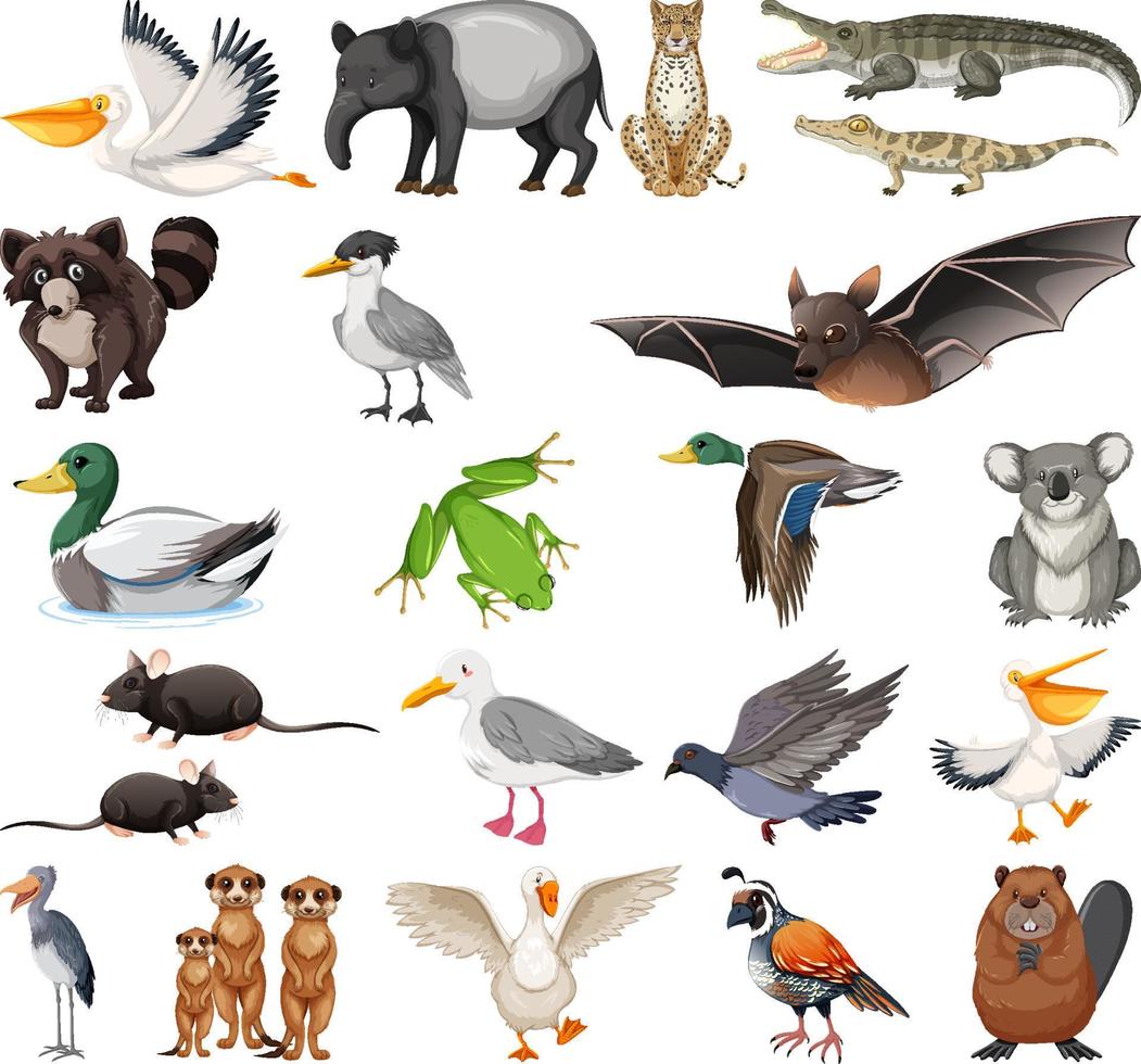 colección de diferentes tipos de animales vector