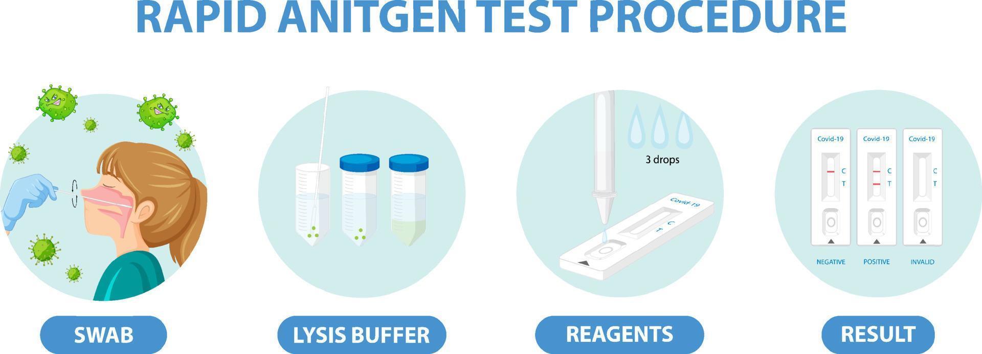 Covid 19 testing with antigen test kit vector