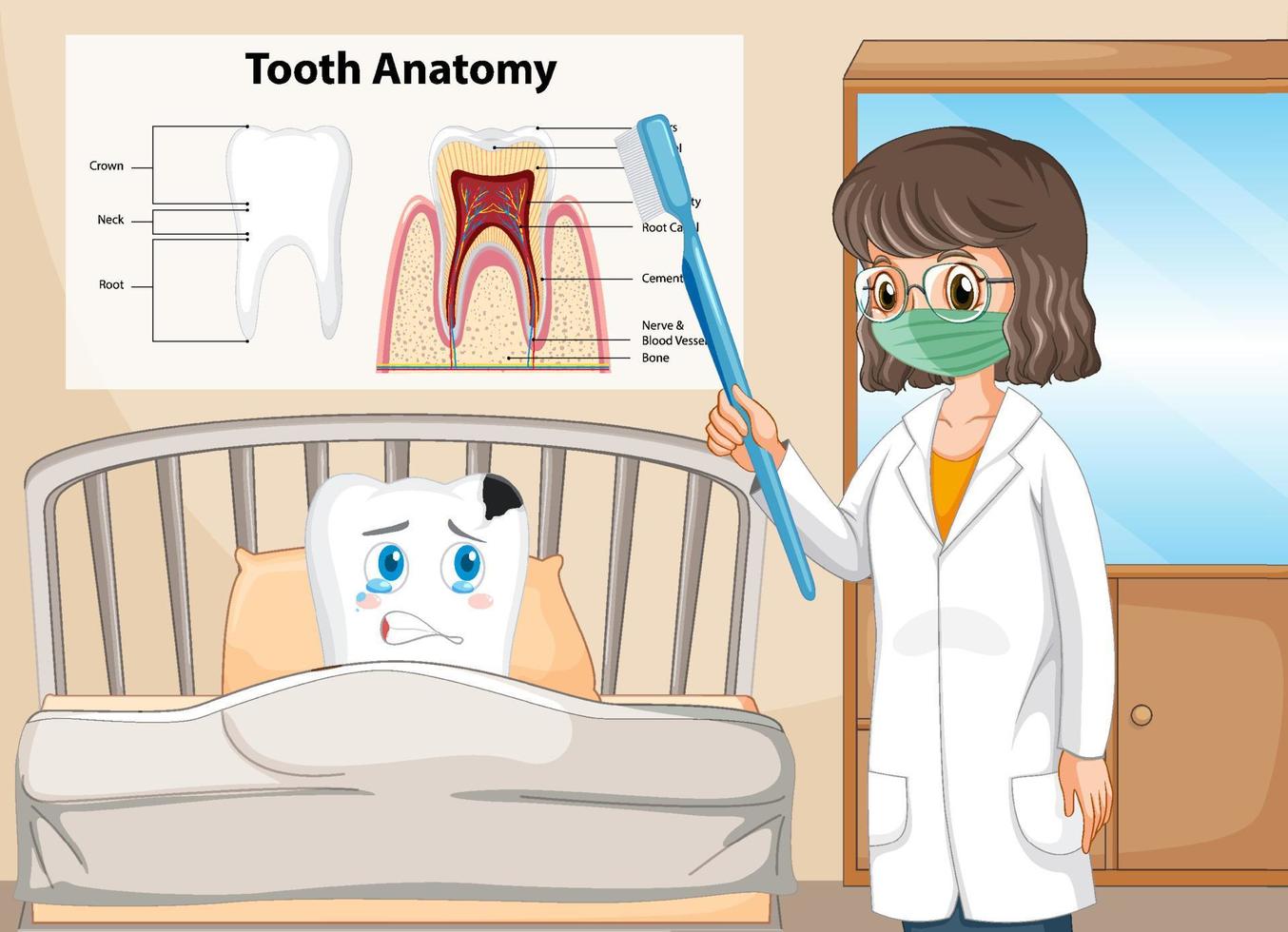 Infographic of human in tooth anatomy at clinic vector