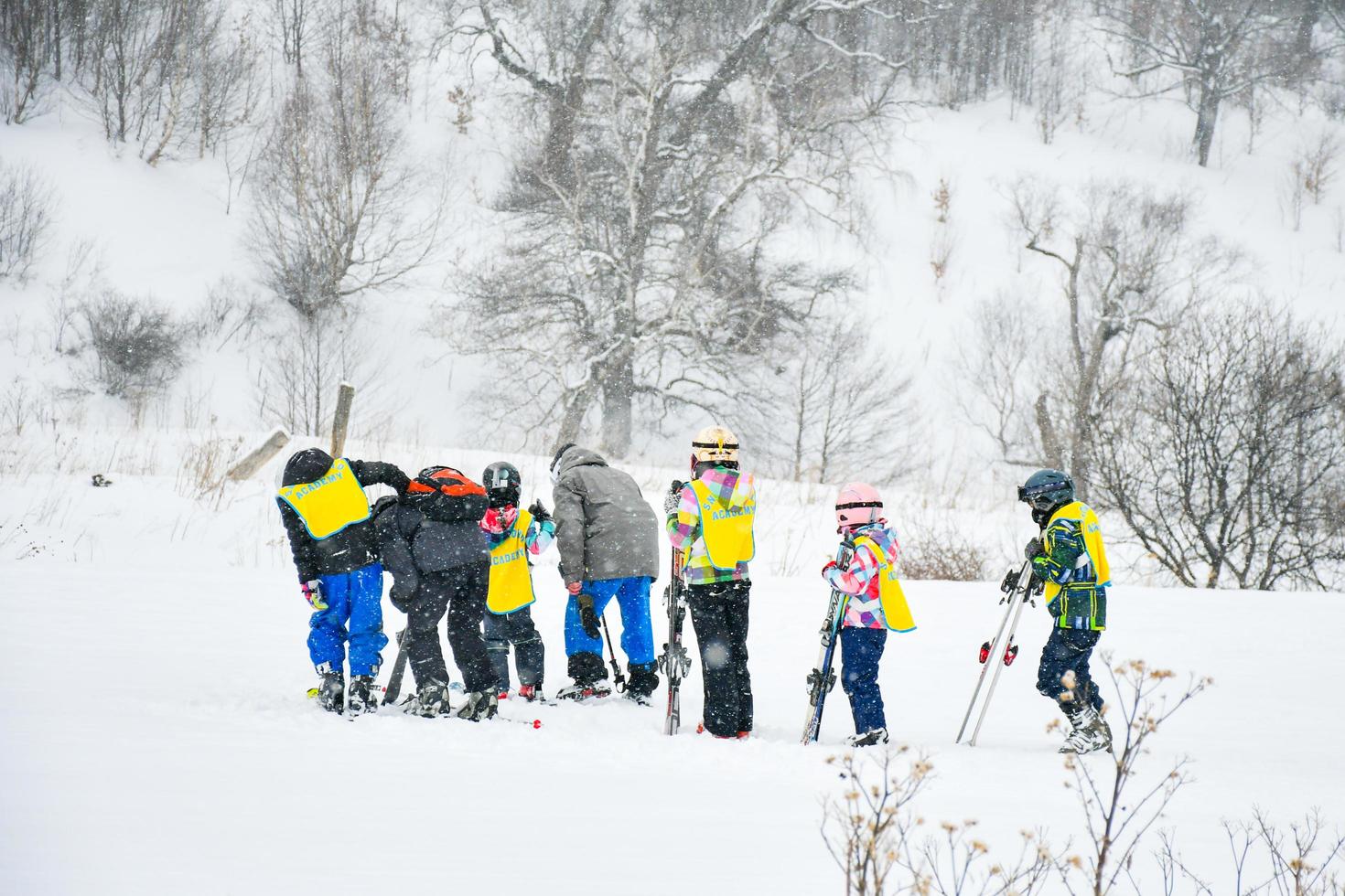 Group of children learn to ski in Bakuriani ski academy, Georgia photo