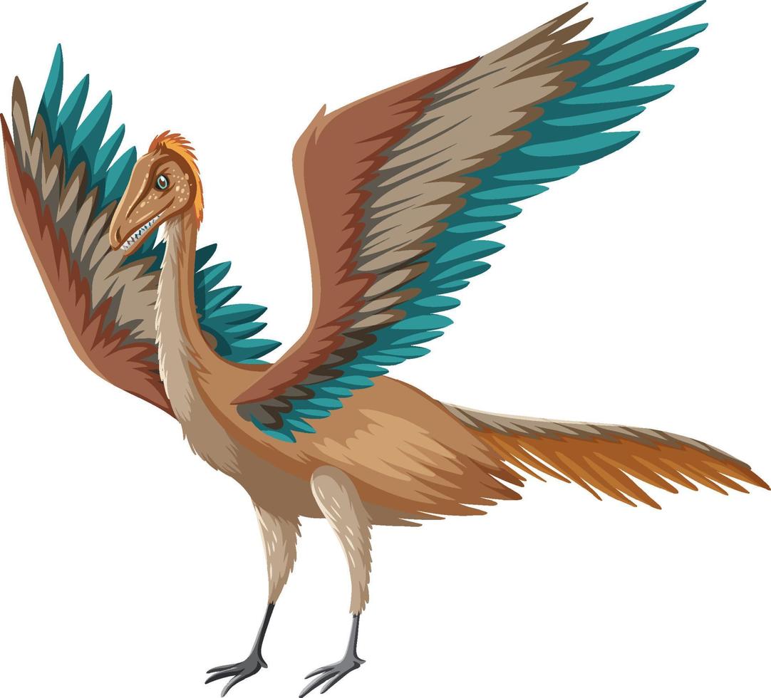 un archaeopteryx de dinosaurio sobre fondo blanco vector