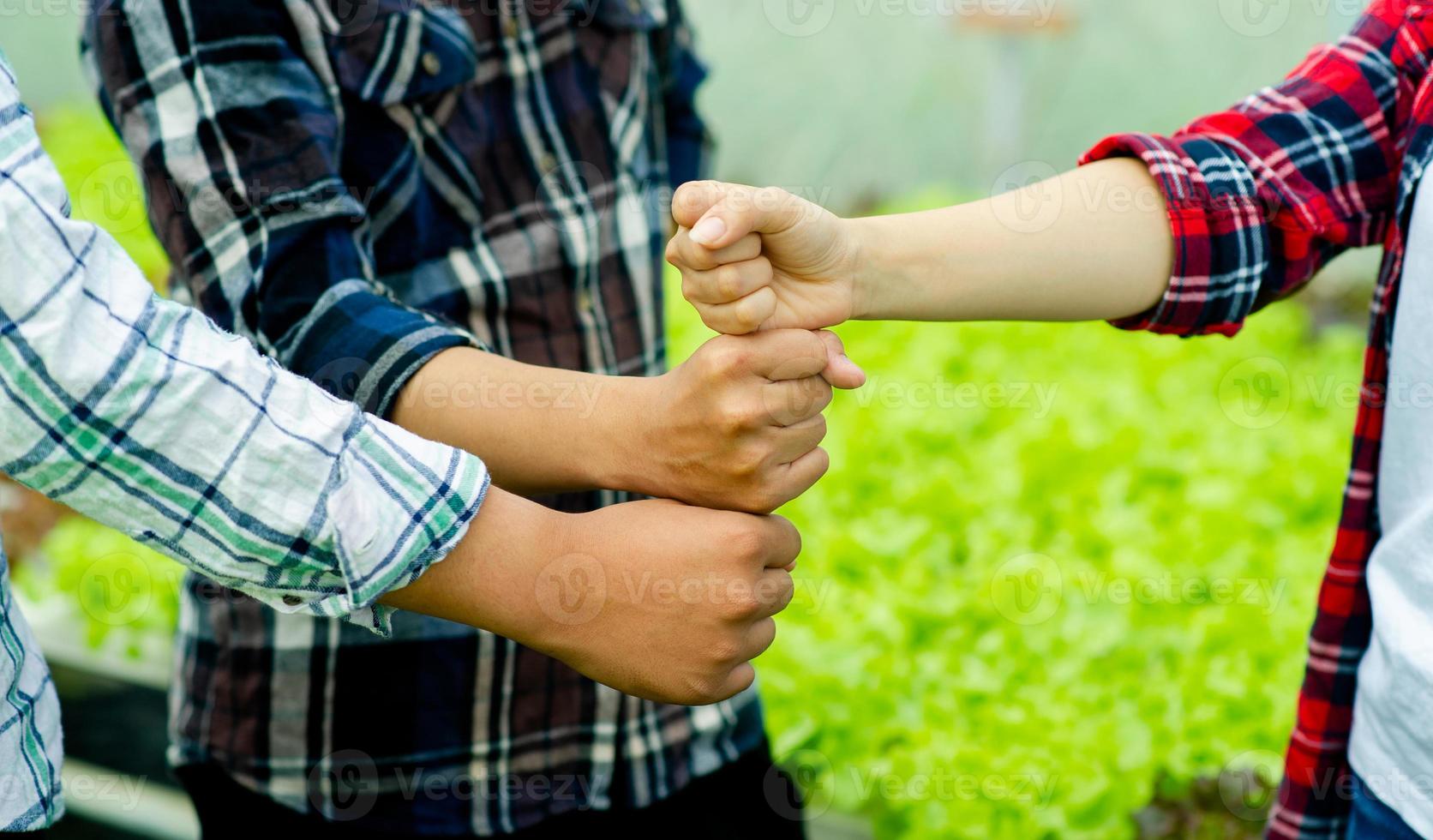 unity, teamwork unity group unity of mind power Put your hands in a vertical line showing determination and energy. team work concept photo