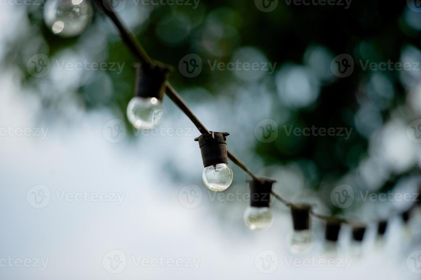 Several light bulbs lined up against a bokeh background. photo