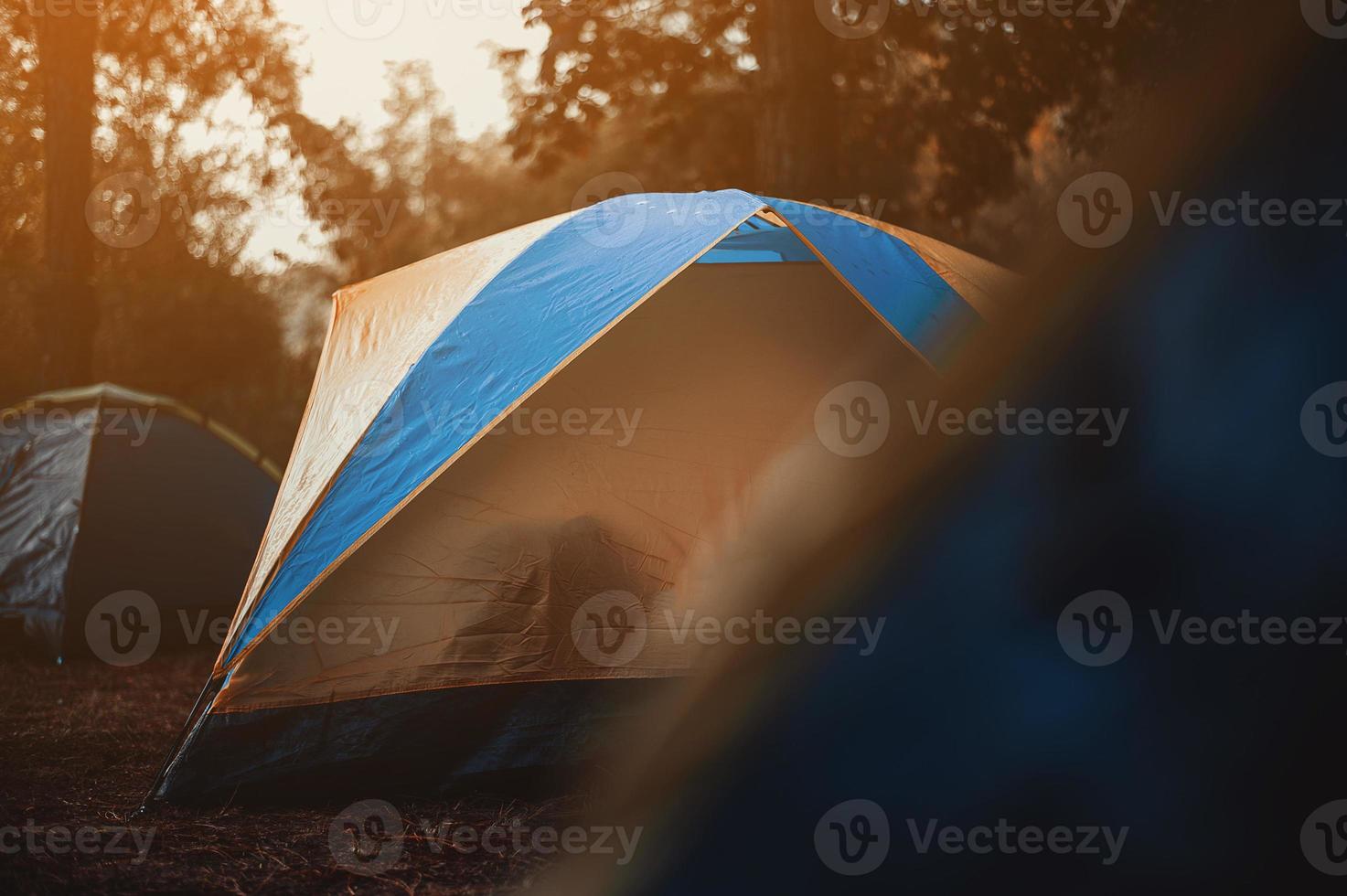 Set up camp in the forest with friends. photo