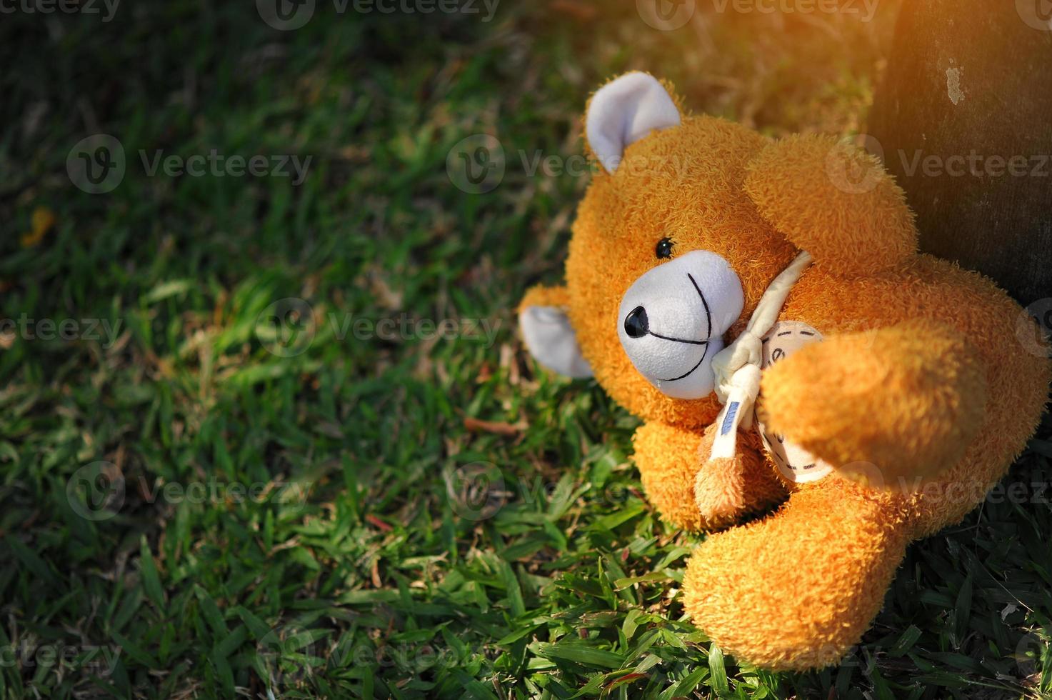Cute little bear waiting for the owner to take back home. photo