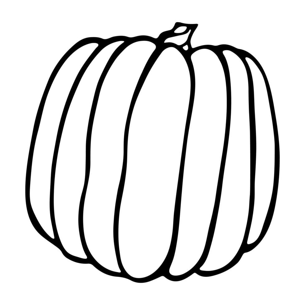 vector ilustración dibujada a mano de calabaza. objeto aislado sobre fondo blanco. imágenes prediseñadas de cosecha de verduras. producto del mercado agrícola. elementos para el diseño de otoño, decoración.