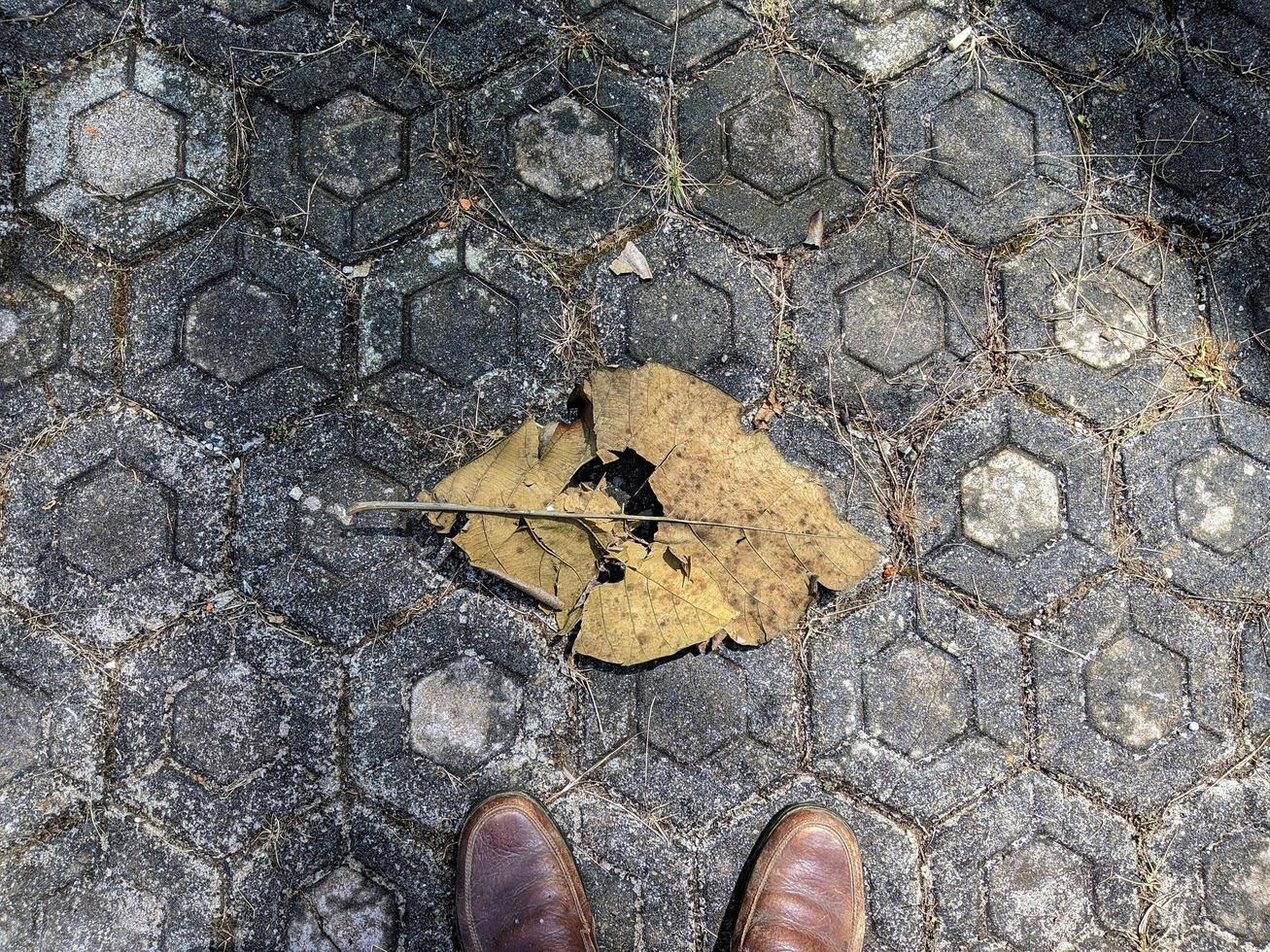 Natural background photo of dry leaves.  Illustration of a person finding dry leaves.