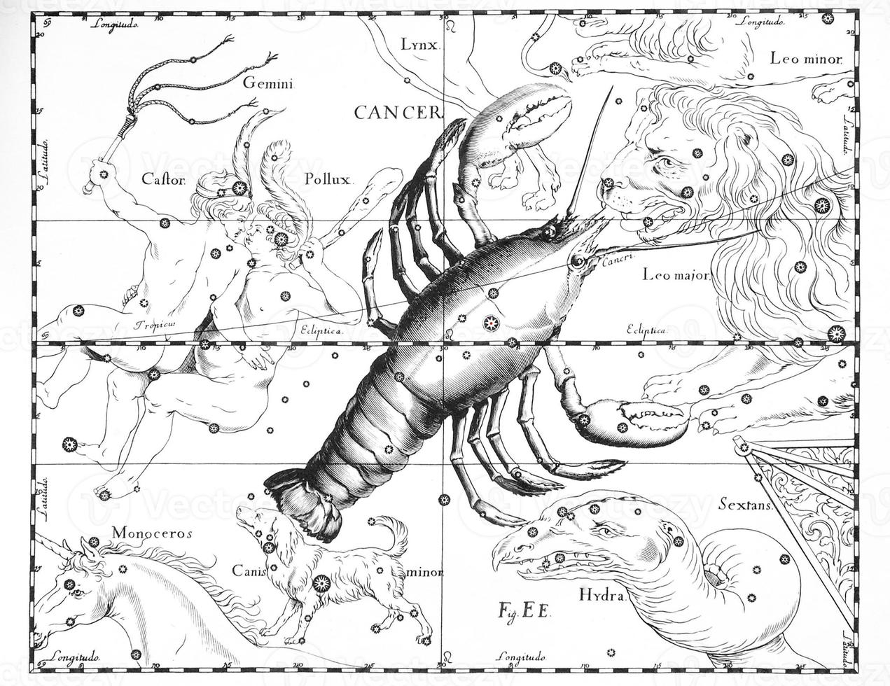 astronomical constellation of the cancer on a white background photo