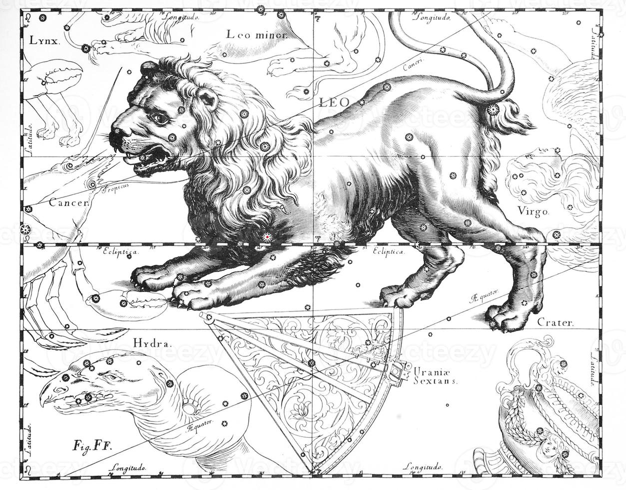 constelación astronómica del leo sobre un fondo blanco foto