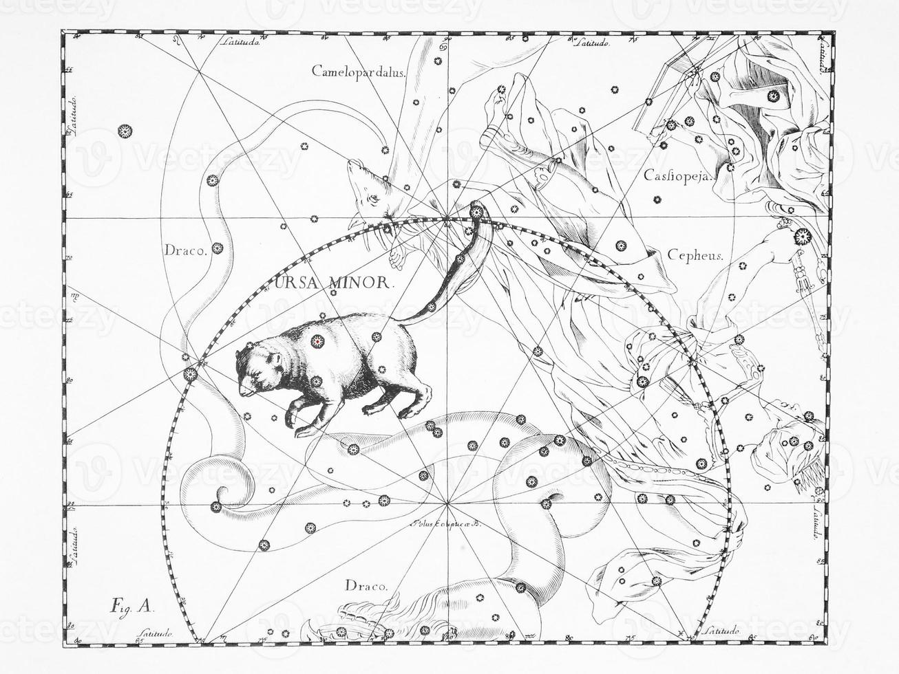 astronomical constellation ursa minor on a light background photo