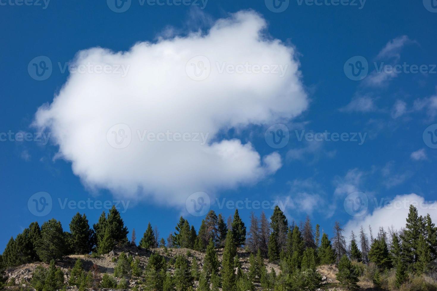 White cloud over Beaverhead-Deerlodge National Forest near Helena photo