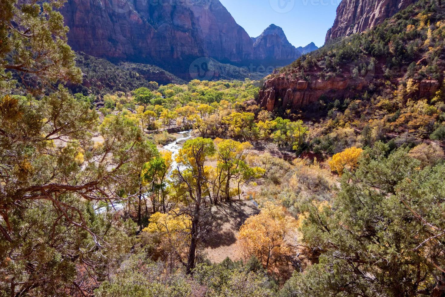 verde valle del río virgen foto