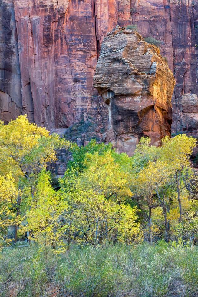 roca piulpit en el parque nacional de zion, utah foto