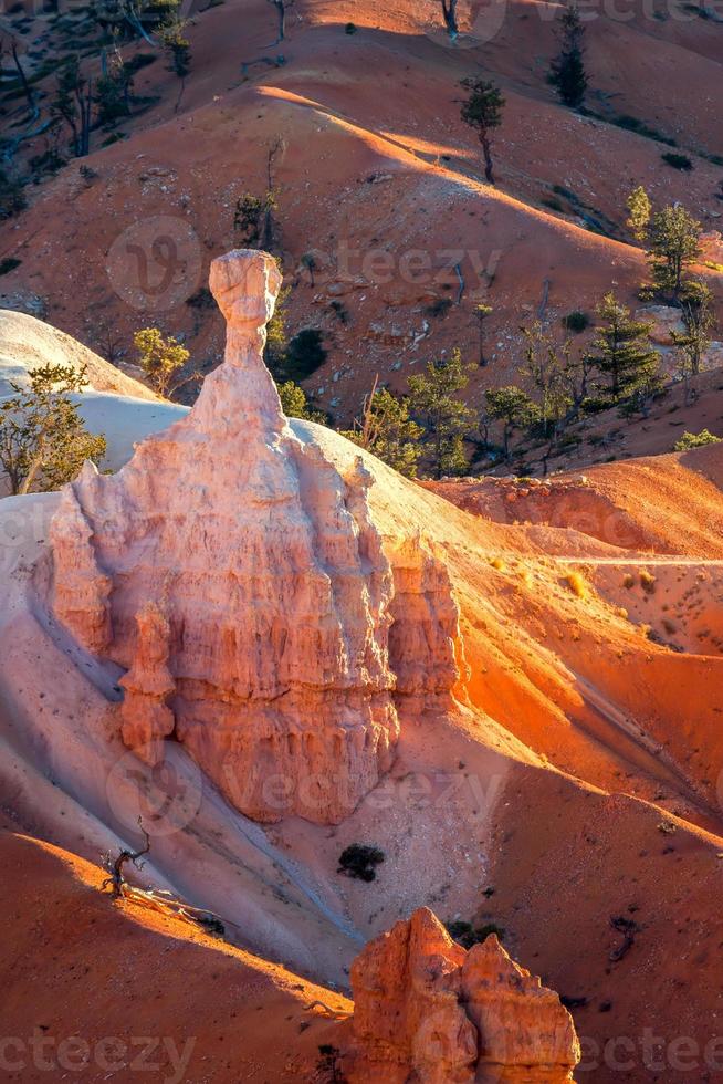 luz del amanecer iluminando un hoodoo inusual en bryce canyon foto