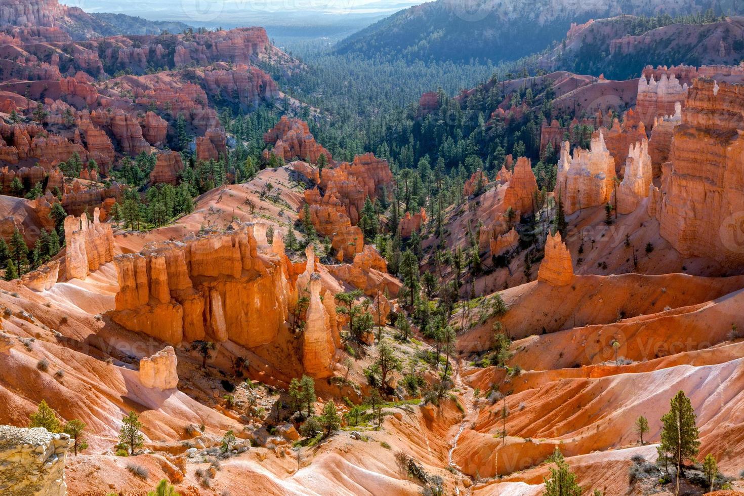 Scenic View of Bryce Canyon photo