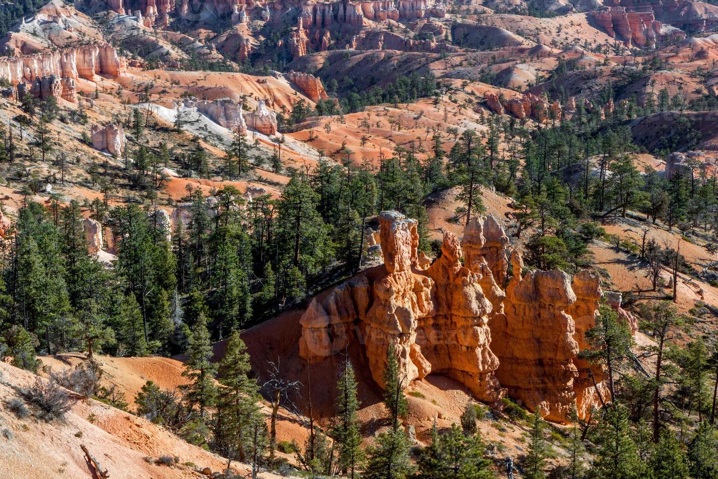 vista del cañón bryce en otoño foto