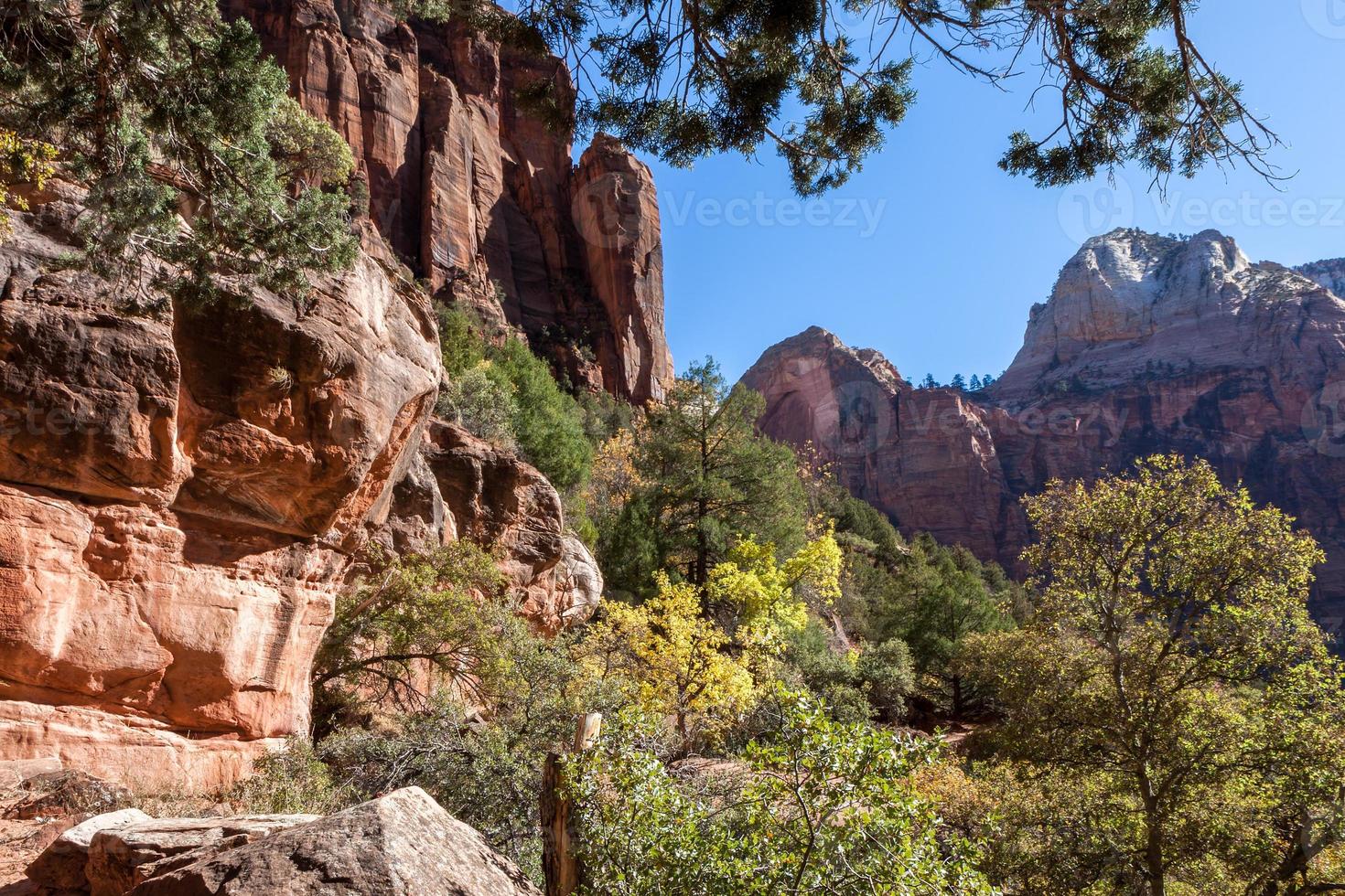 Autumn in Zion National Park photo