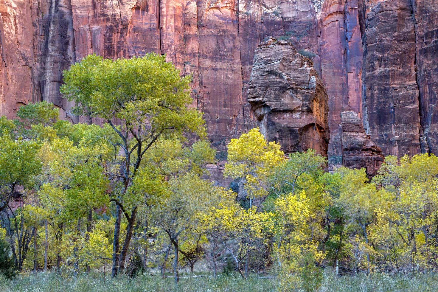 Pulpit Rock in Zion National Park photo