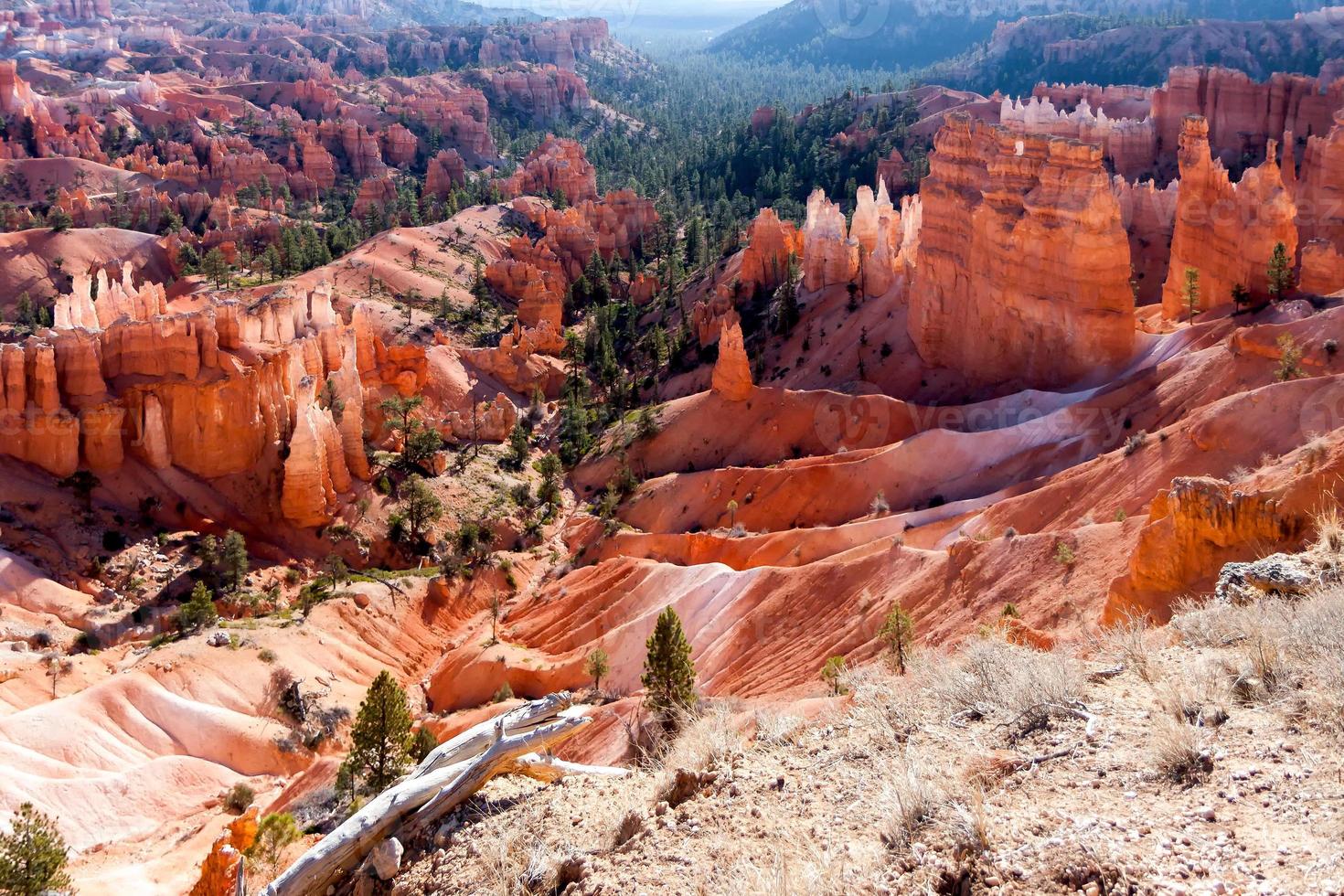 vista escénica de bryce canyon sur de utah estados unidos foto