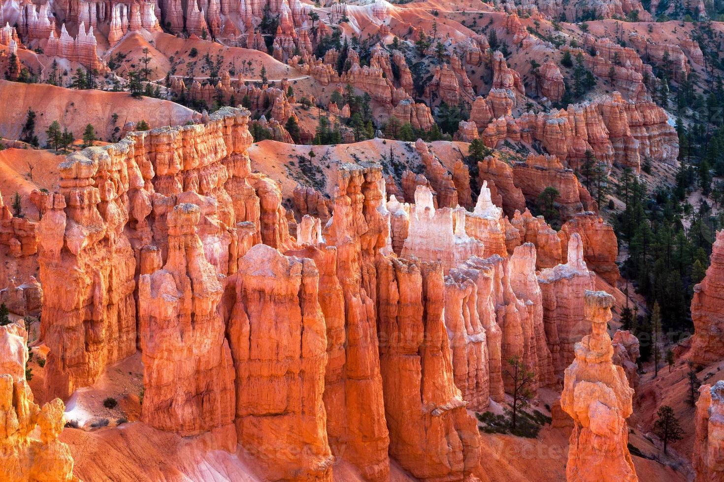 vista panorámica del cañón bryce foto