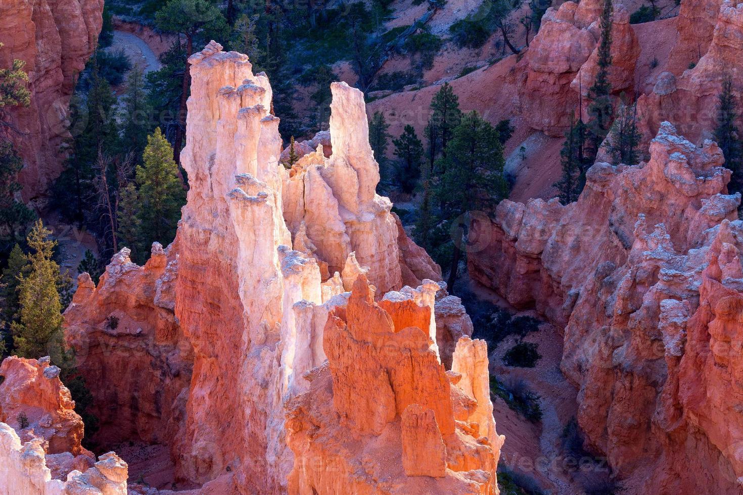 Bryce Canyon Sculpted by the Elements photo