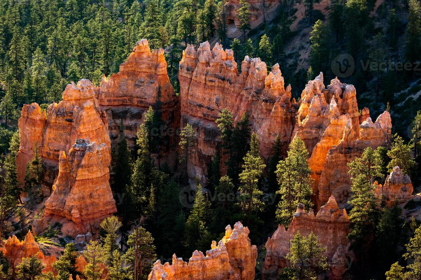 Ring of Orange Rocks photo