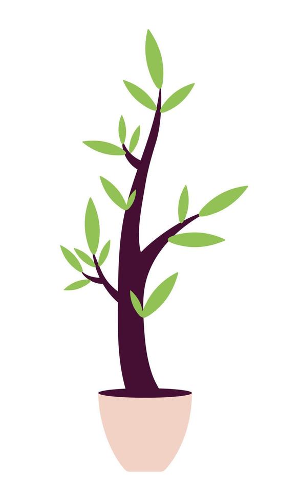 Wavy houseplant with small leaves semi flat color vector object