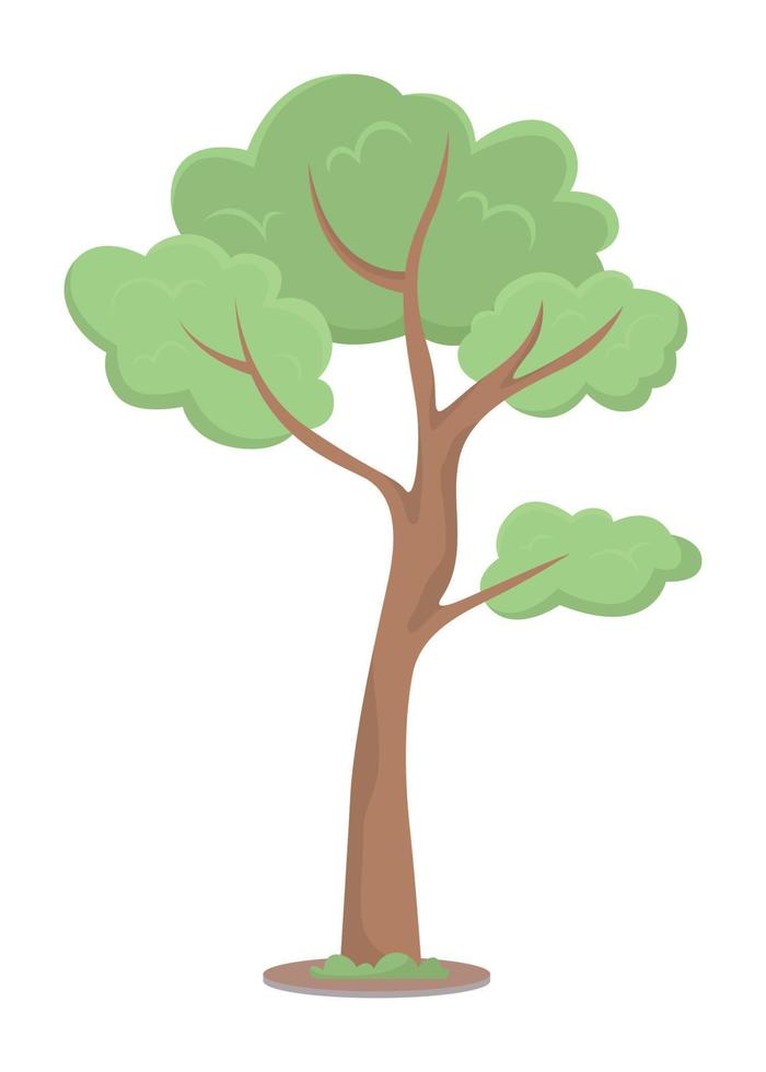 árbol joven objeto de vector de color semi plano