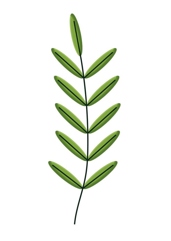 cute branch illustration vector