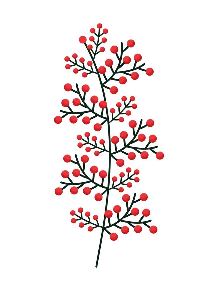 red berries branch vector