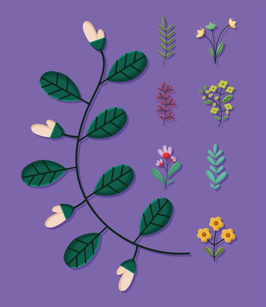 eight flowers branches vector