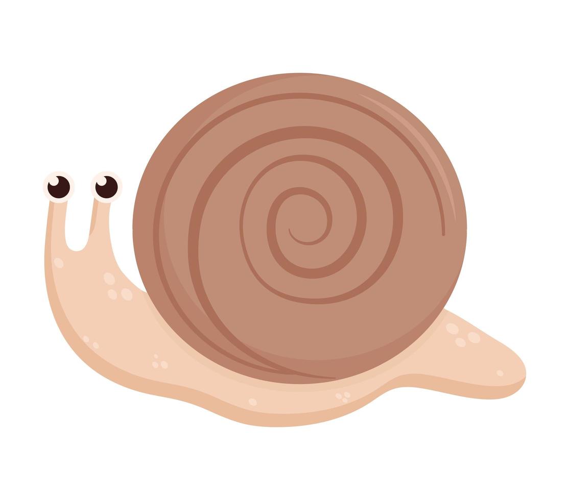 brown snail design vector