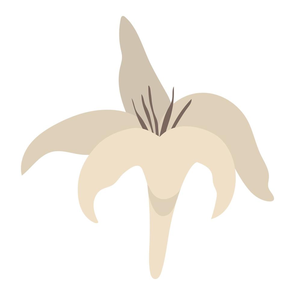 cute orchid illustration vector