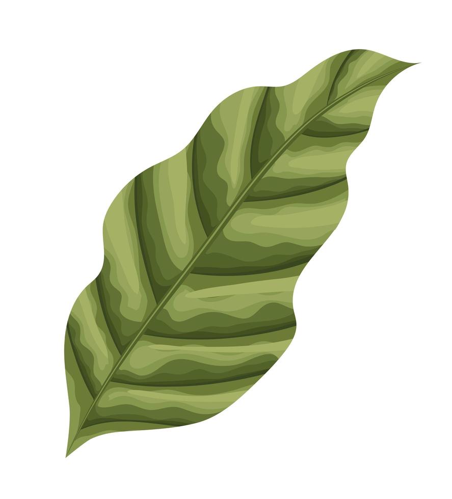 green leaf design vector