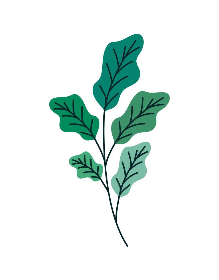 plant stem design vector