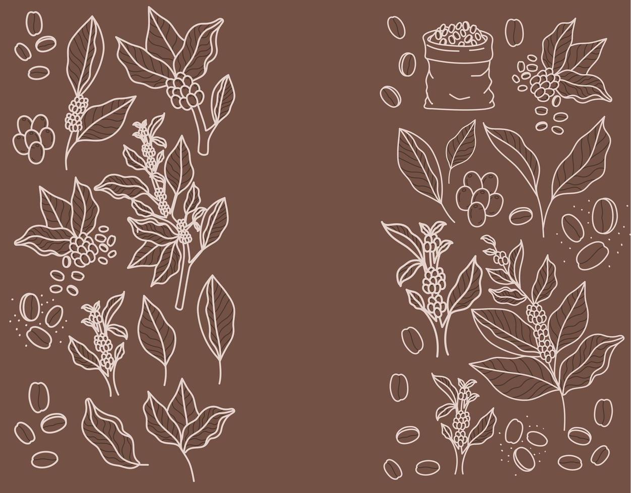 coffee plants illustration vector