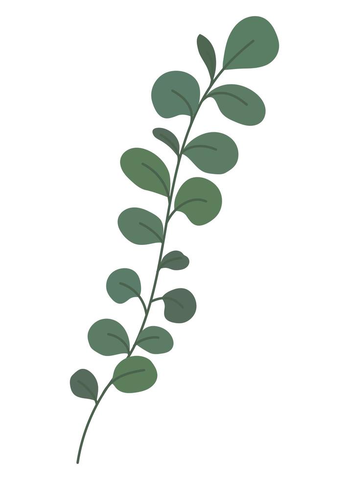 green branch illustration vector