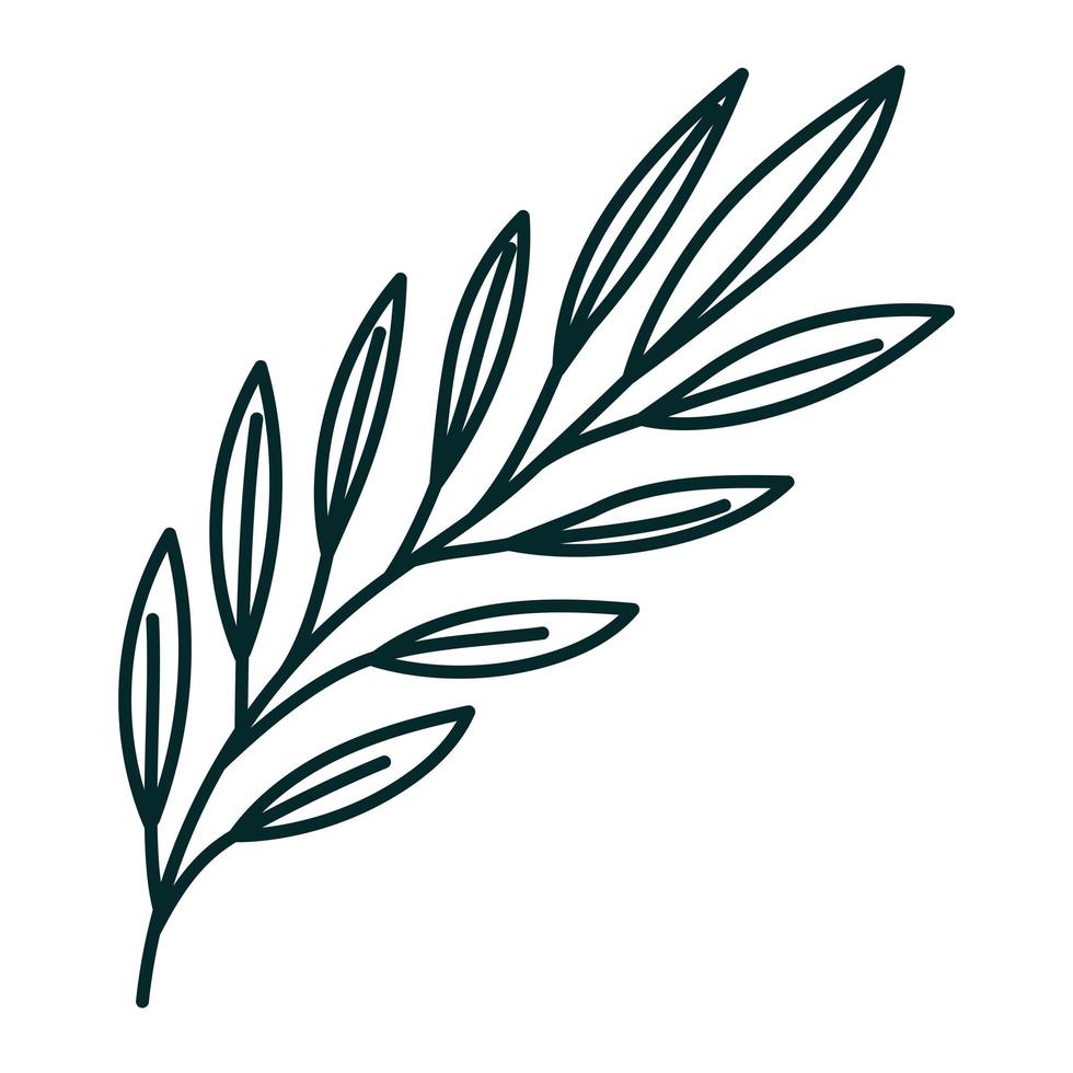 branch icon design vector