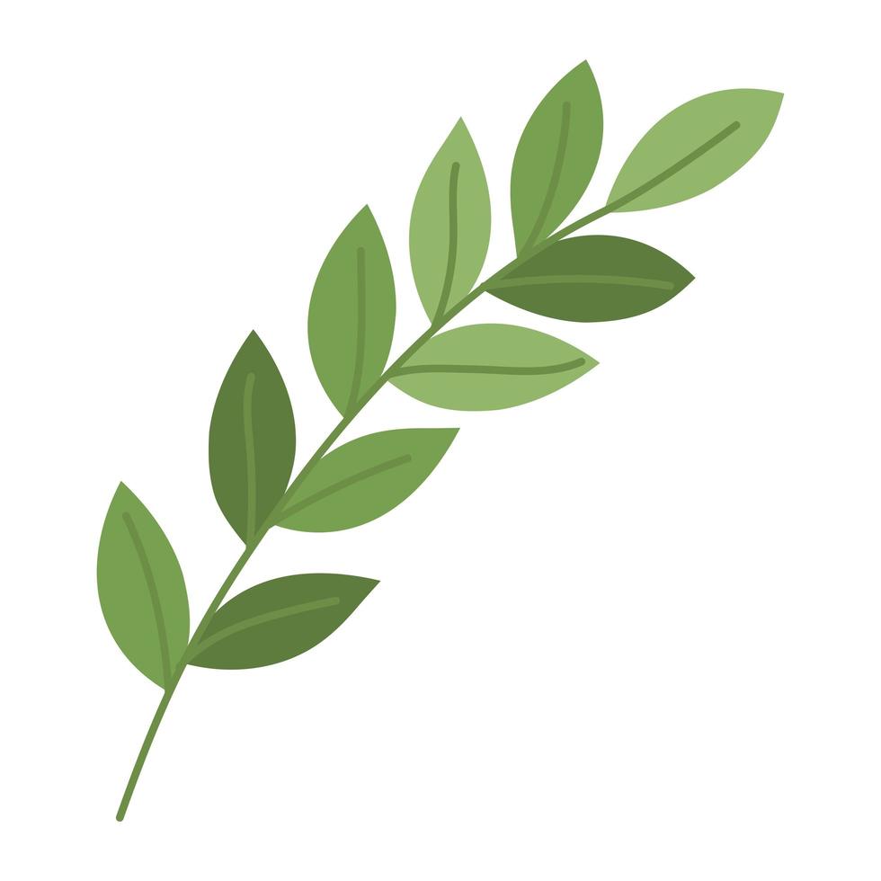 green leaves design vector