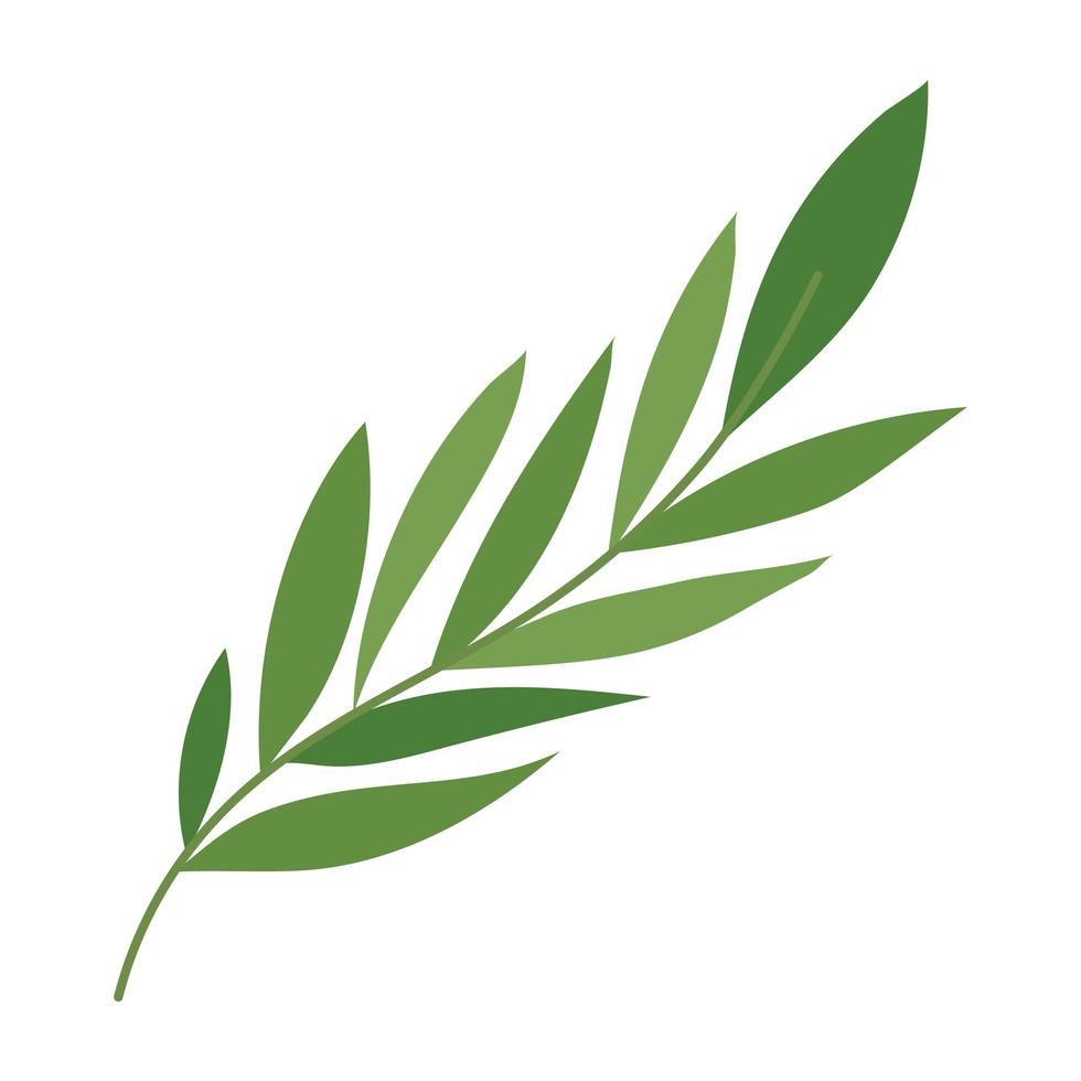 diseño de rama de hojas verdes vector