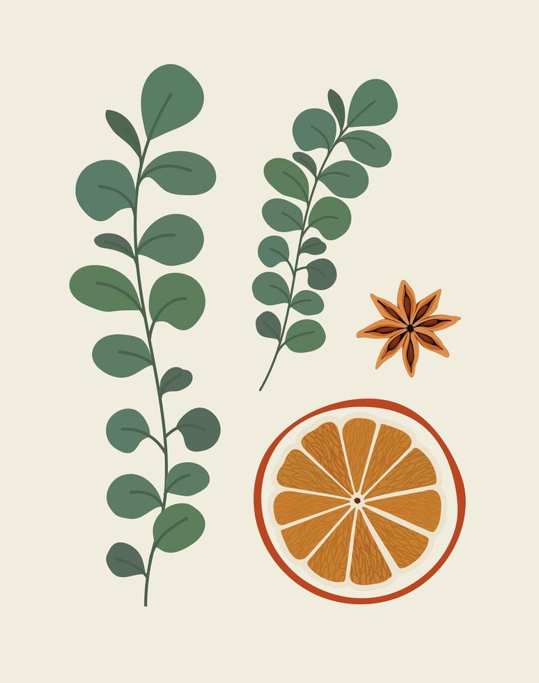 plants and orange slice vector
