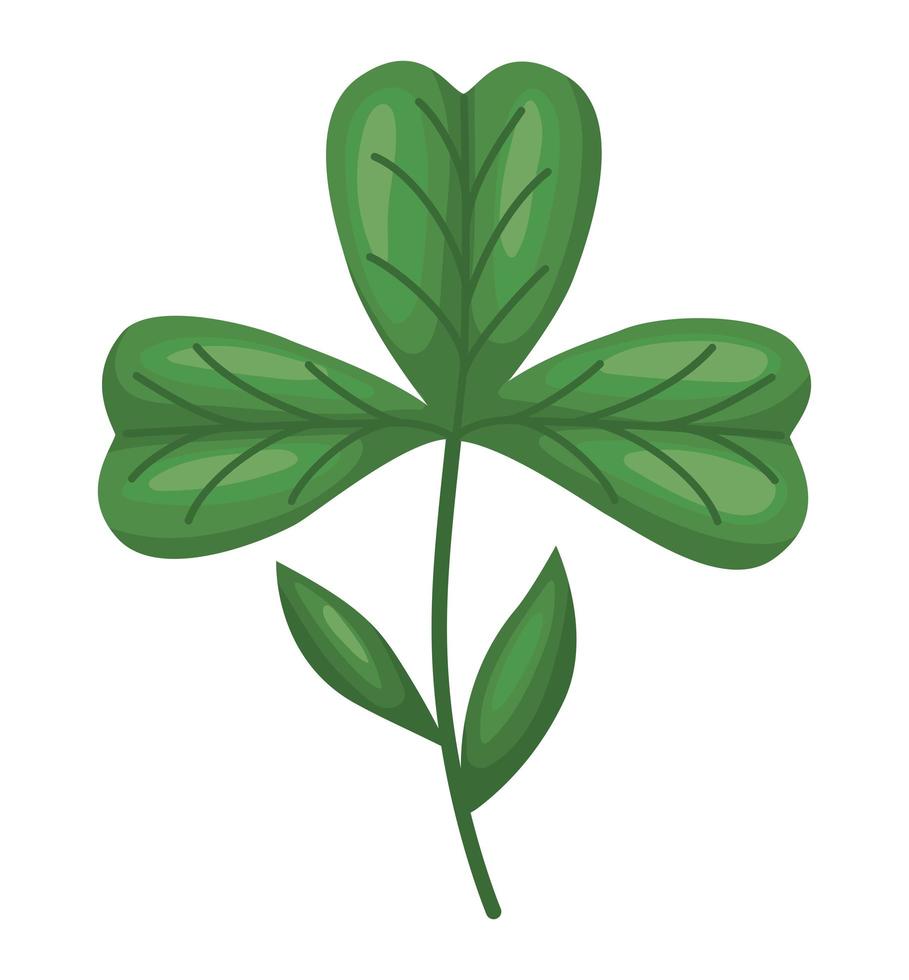 three leaves clover vector
